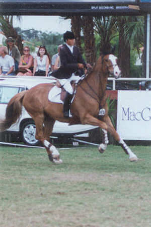 Manadi-wef