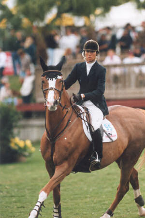 manadi-1st fence