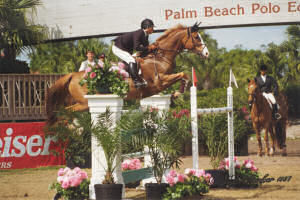 manadi-wef2