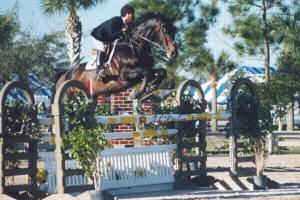 punky-wef5