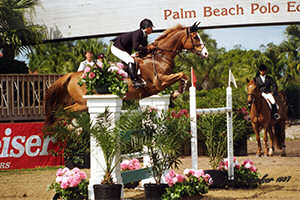 manadi-wef2