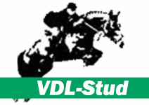VDL Stud